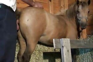 ,sexo con animales, clips porno de animales xxx, sexo amateur con perros,tubo porno de animales, tubo de sexo animal, tubo porno